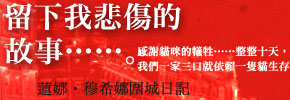 贈書《留下我悲傷的故事》讀者專屬贈獎活動