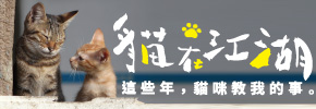 贈書《貓在江湖：這些年，貓咪教我的事》抽獎活動
