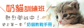 贈書《奶貓訓練班》抽獎活動