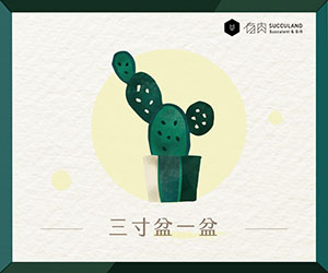 贈獎《有肉 Succulent & Gift》抽獎活動