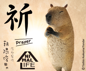 贈獎《 Animal Life 祈 》