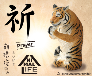 贈獎《 Animal Life 祈 》