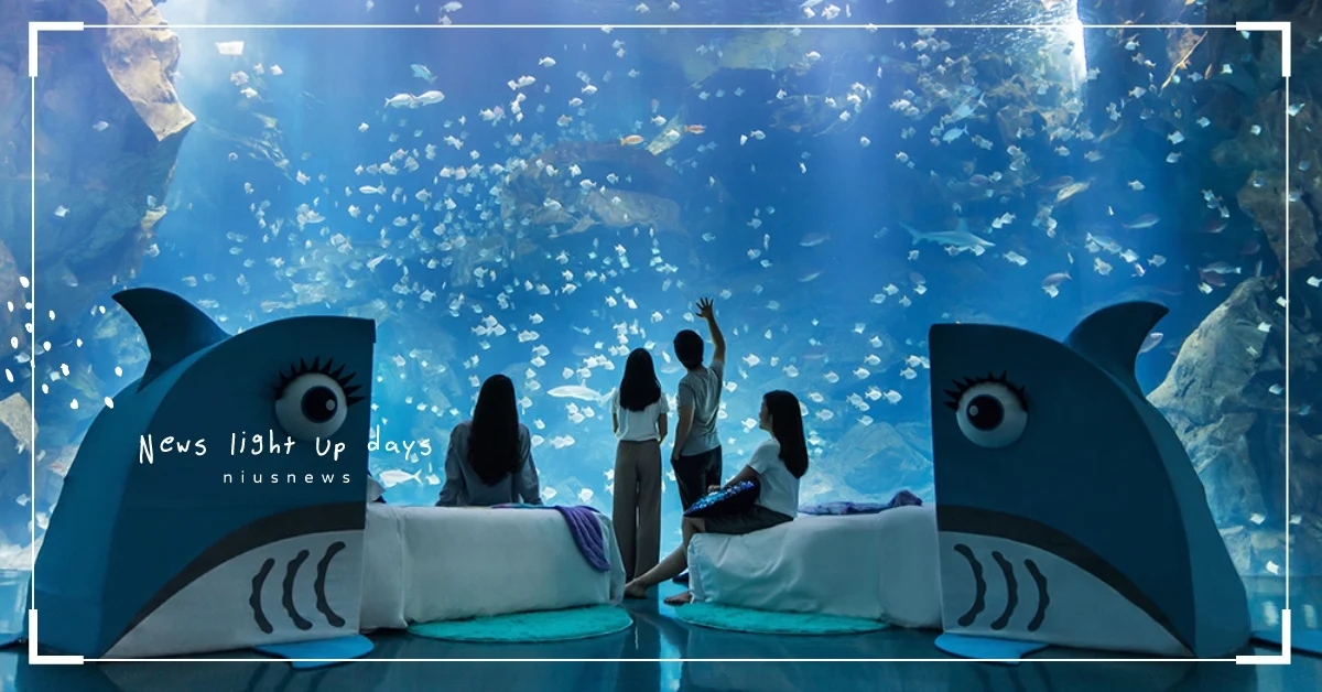 海洋系夜宿！桃園和逸飯店「宿海奇遇」5個亮點介紹，入住海底小屋享奢華淋浴間 