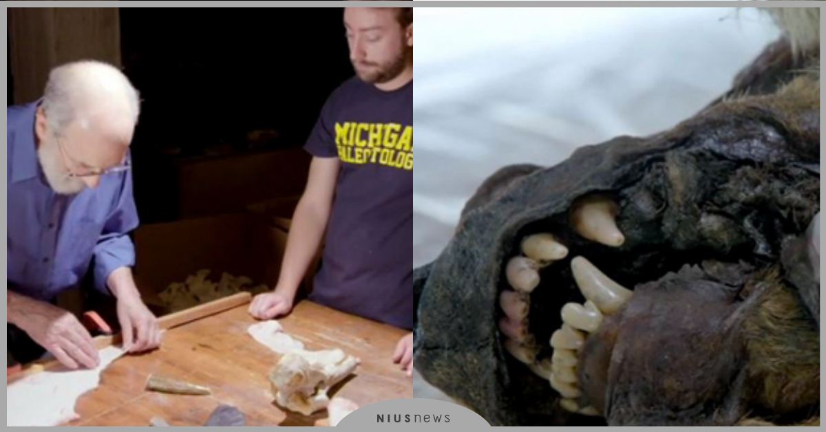 冰河時期「絕種生物」有望復活？《失落的冰河期巨獸》揭開西伯利亞地底下的神秘面貌！ 世界地球日、Discovery、一件好事救地球、動物星球頻道、可愛動物、動物、動物新聞、