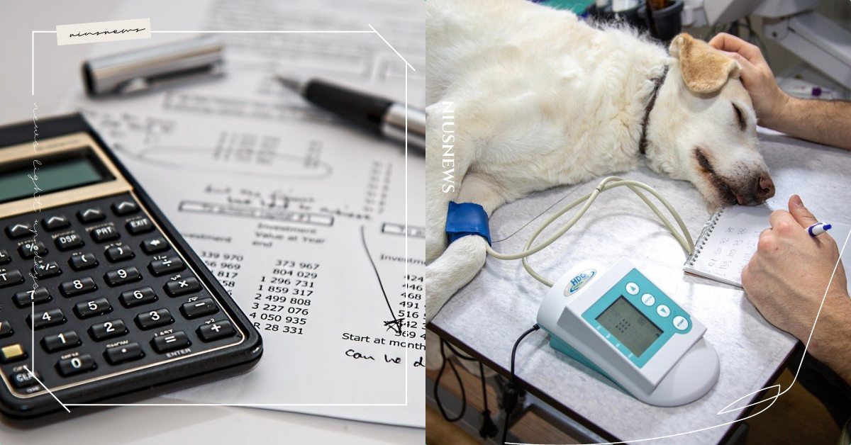 「寵物保險」5大注意事項！投保侵權責任賠償是什麼？防疫隔離「寄宿費用補貼」很重要 可愛寵物、寵物健康、寵物出去玩、寵物保險、投保、保險、防疫險、侵權責任險、寄宿費用補貼、醫療險、寵物醫療