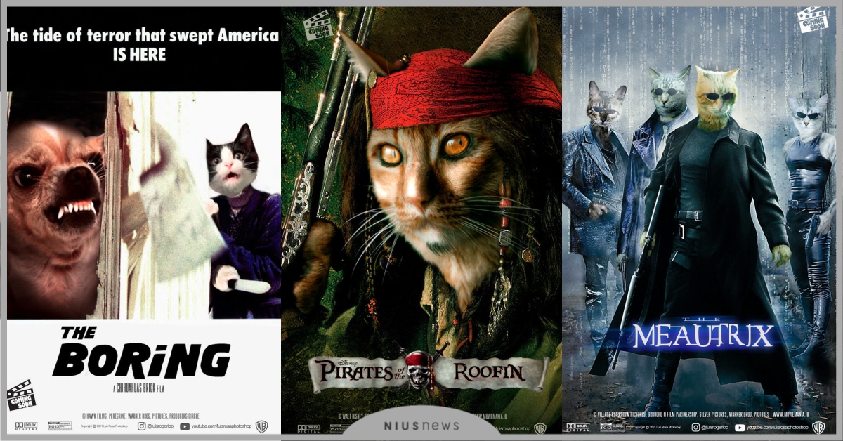 基努李維、強尼戴普變喵星人！毛小孩「亂入電影海報」國外大神P圖換角，網讚：想看 基努李維、強尼戴普、毛小孩、電影、P圖大神、鐵達尼號