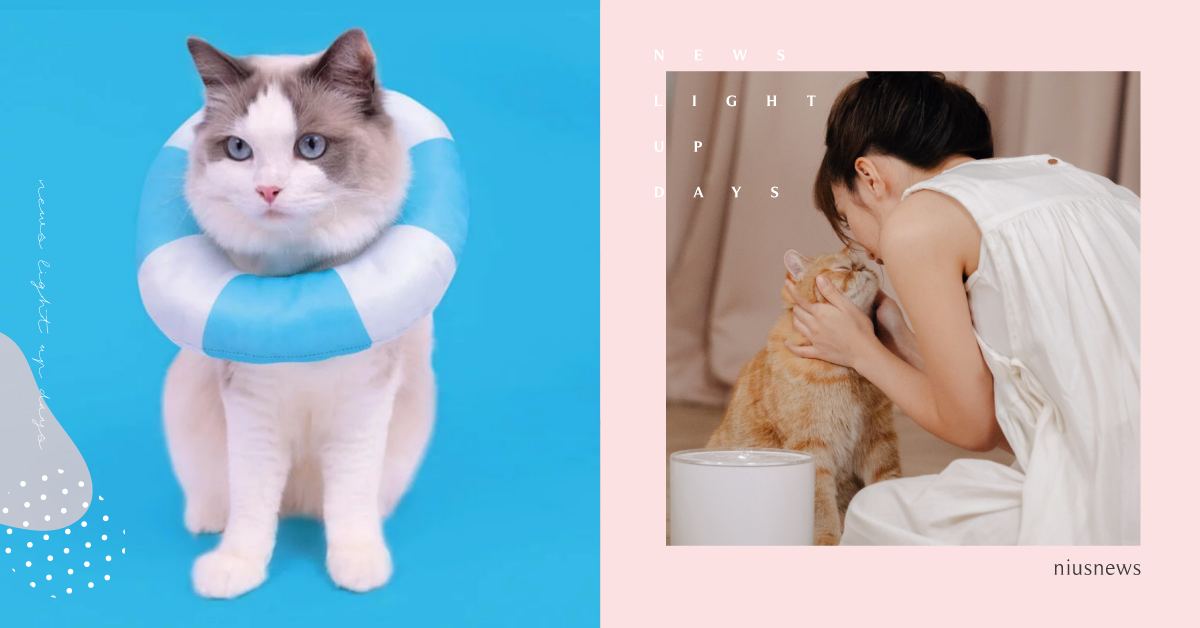 毛小孩夏季必備4樣「消暑小物」！舒適不忘時尚感，戴上圍脖泳圈、涼感背心超可愛！ 可愛動物、毛小孩、寵物、寵物選品、夏天、夏日、炎熱、消暑、小物、泳圈、地墊、玩具、衣服、推薦