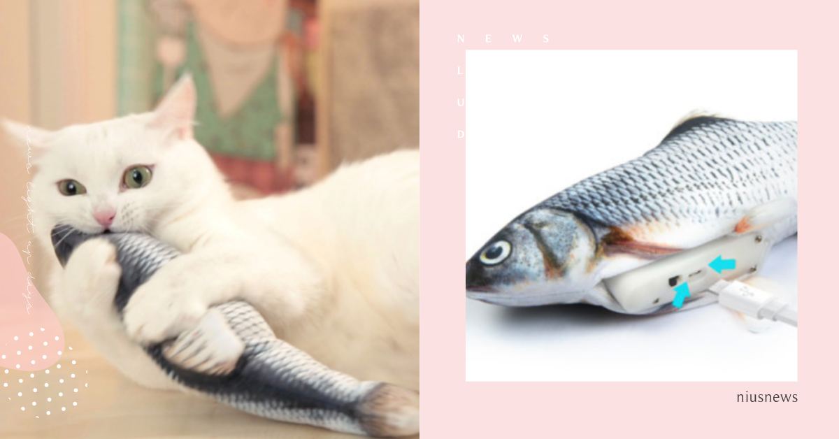 韓國獵奇逗貓玩具推薦！喵主子超愛活蹦亂跳的「鮮魚」，包裝還用保鮮膜超擬真！ 可愛動物、寵物、毛小孩、寵物選品、貓咪、喵星人、玩具、鮮魚、逗貓棒、貓薄荷