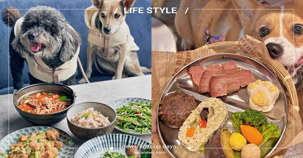 2023台中24間「寵物友善餐廳」推薦！新開幕超夯私房餐館，還有大草皮可以跑跑 2023最新、台中寵物友善、寵物友善餐廳、寵物餐廳、寵物鮮食、餐廳、咖啡廳、打卡、探店