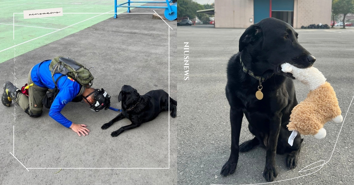 桃園汪汪隊公開「搜救犬考試內容」！親揭考前神秘儀式＋超萌獎勵：狗勾的最愛～ 地震、搜救犬考試、桃園搜救犬隊、寵物新聞、時事、萌寵、工作犬、動物、寵物、可愛寵物、冷知識、避難包、狗罐頭