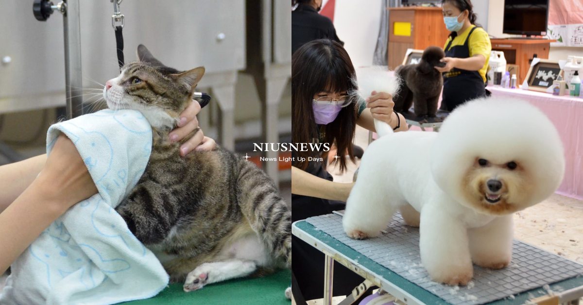 兩週內過勞？「寵物美容師」苦揭6大秘辛，薪水區間、證照等級一次看！ 寵物美容、寵物美容師、寵物照顧、寵物圈圈、寵美師、寵物美容教師