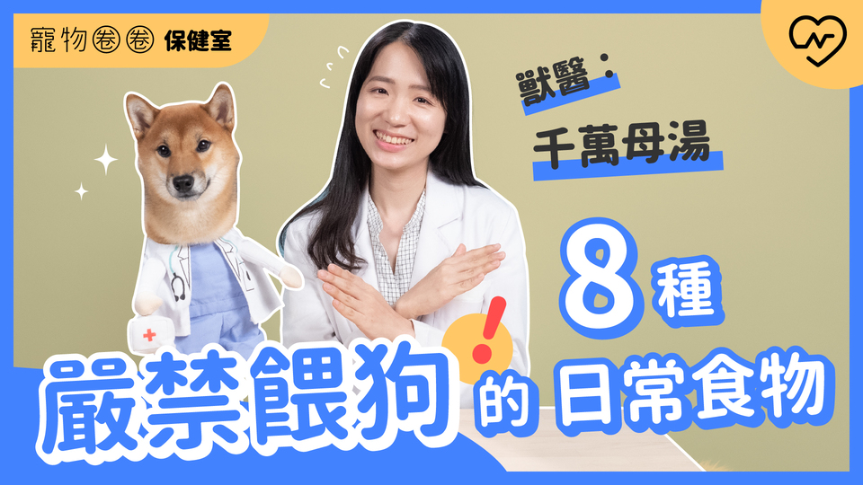 【狗禁吃食物】嚴禁餵狗的8種日常食物！看起來健康但絕對母湯｜寵物圈圈保健室Ep1 寵物圈圈、毛小孩、嚴禁餵狗、寵物知識、寵物圈圈保健室