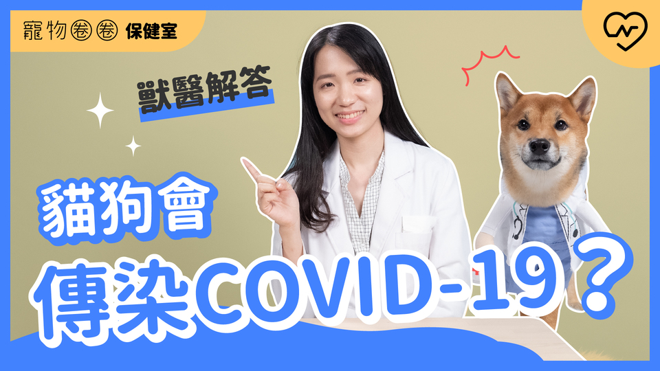 【犬貓與新冠肺炎】貓狗會傳染COVID-19？要戴口罩嗎？｜寵物圈圈保健室Ep2 寵物圈圈、毛小孩、新冠肺炎、寵物知識、寵物圈圈保健室