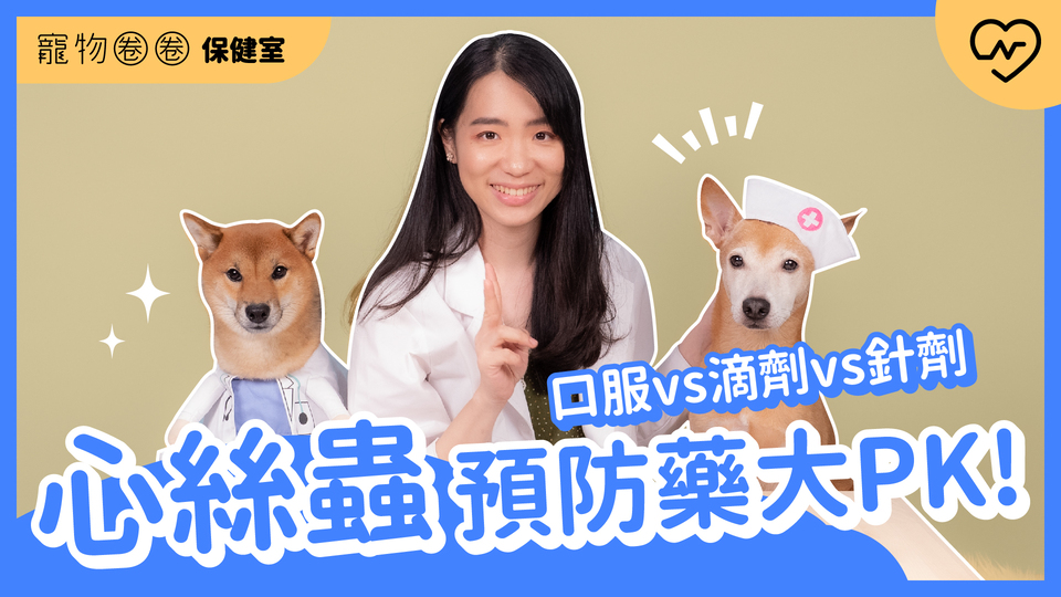 【心絲蟲預防】心絲蟲預防藥獸醫全解析！口服vs滴劑vs針劑｜寵物圈圈保健室Ep5 寵物圈圈、毛小孩、心絲蟲預防、寵物知識、寵物圈圈保健室 