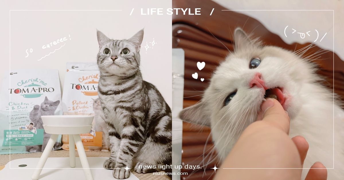 百喵實測最愛這款！高CP值必吃低碳水、高肉量「優格親親食譜」，奴才還不快奉上！ 貓咪飼料、高肉量配方、高CP值、優格寵物食譜、寵物