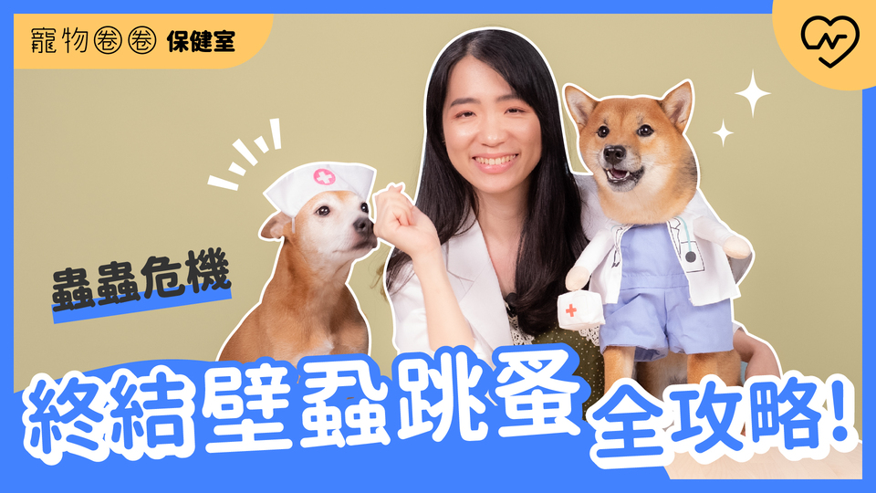 【除蚤壁蝨】終結壁蝨跳蚤全攻略！貓狗身上的蟲蟲危機｜寵物圈圈保健室Ep.6 寵物圈圈、毛小孩、除蚤壁蝨、寵物知識、寵物圈圈保健室