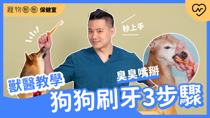 【狗狗刷牙教學】臭臭嘴掰掰～讓狗狗從此愛上刷牙3步驟 ｜寵物圈圈保健室Ep.7 寵物圈圈、毛小孩、狗狗刷牙、寵物知識、乖狗養成 