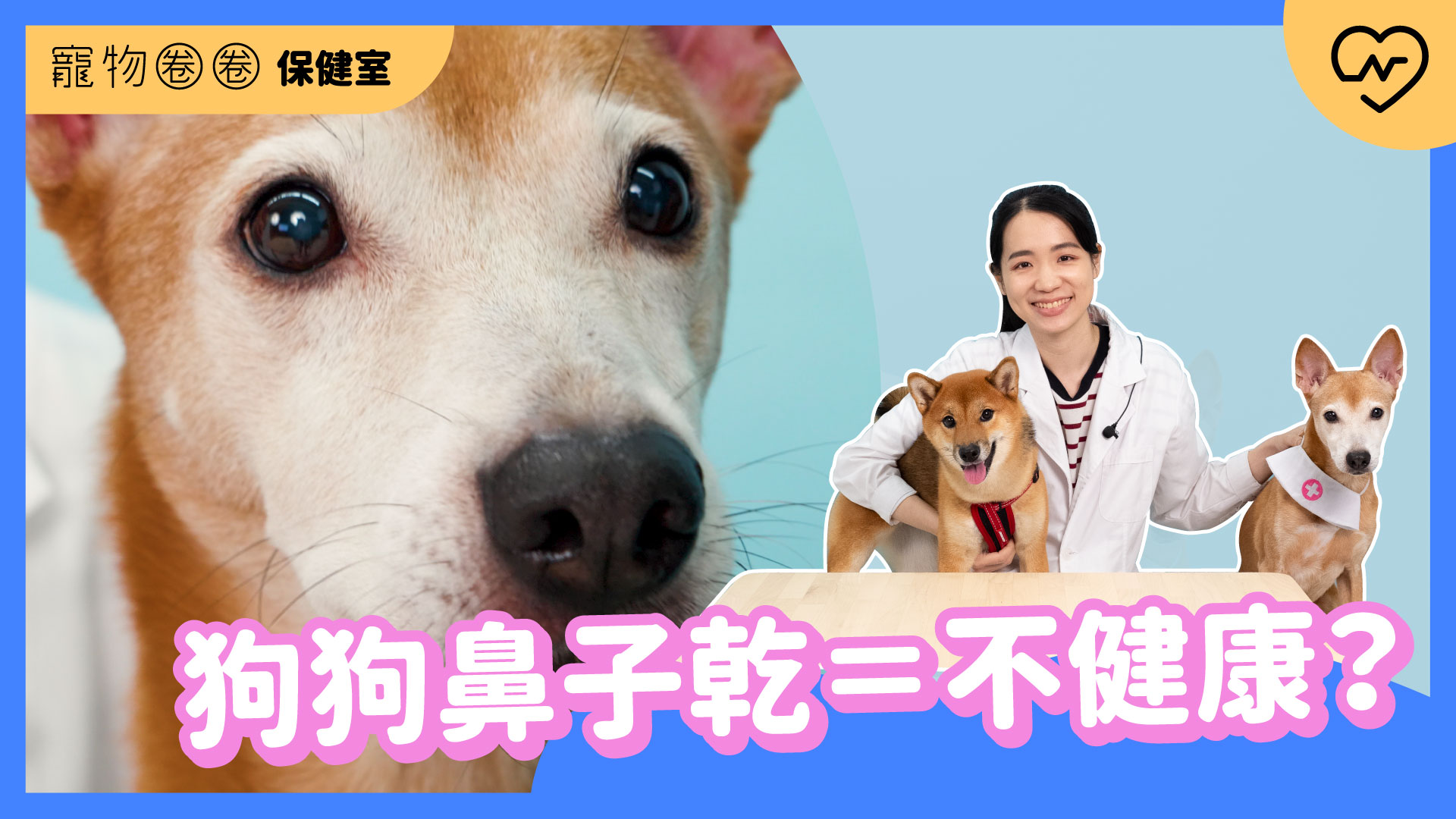 【狗鼻子冷知識】狗狗鼻子乾乾＝不健康？｜寵物圈圈保健室Ep.13  寵物圈圈、毛小孩、狗鼻子、寵物知識、寵物圈圈保健室 