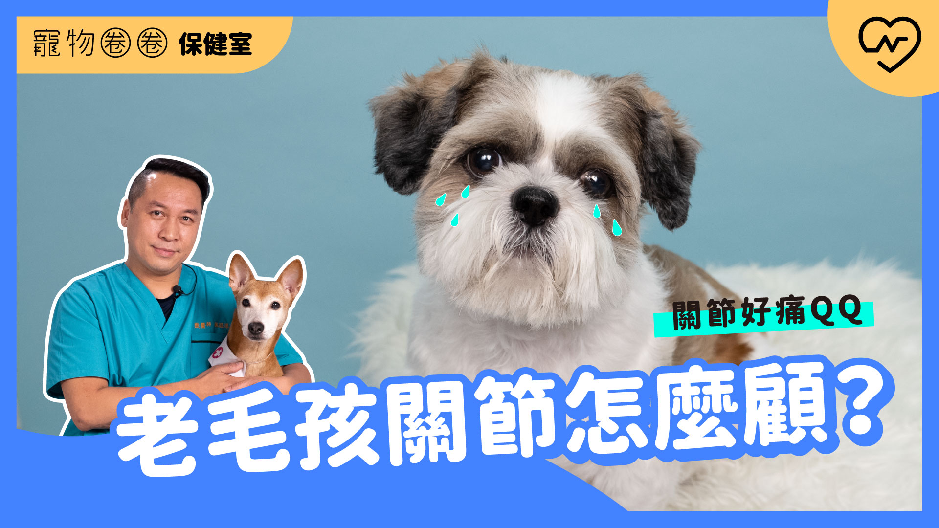 【老齡犬貓關節保健】如何幫老毛孩預防關節問題？｜寵物圈圈保健室Ep.14  寵物圈圈、毛小孩、關節、寵物知識、寵物圈圈保健室 