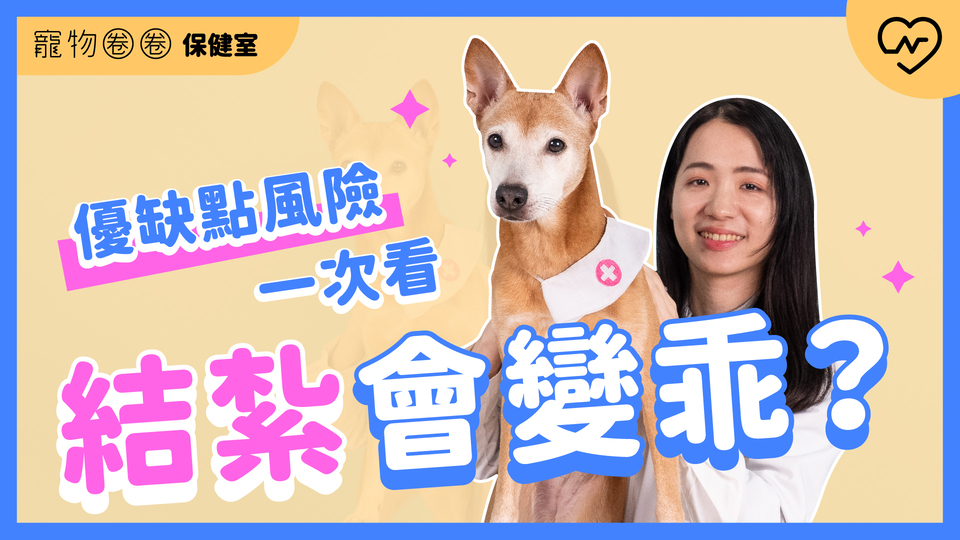  【寵物結紮】毛寶貝結紮優缺點和風險一次看！｜寵物圈圈保健室Ep.16 