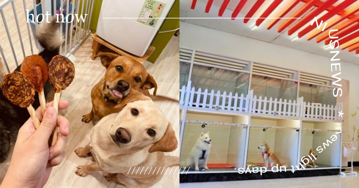 2022最新！台中5間「寵物旅館」推薦，寵物保姆專門照顧、毛孩隔夜寄宿好安心！ 2022最新、寵物友善住宿、台中寵物旅館、台中寵物安親、寵物幼稚園、寵物友善景點、寵物保姆、寵物寄養、毛小孩、萌寵、可愛寵物、寵物出去玩