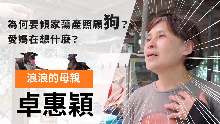 我就問ep.1 【卓媽媽狗場】專訪：為何要傾家蕩產照顧狗？愛媽在想什麼？ 我就問、領養與購買、愛媽、卓媽媽狗場、走心社會觀察家