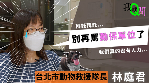 【動物救援隊長 林庭君】專訪：別再罵動保單位！我們真的沒有人力了 我就問、領養與購買、動物救援隊長、動保單位、走心社會觀察家