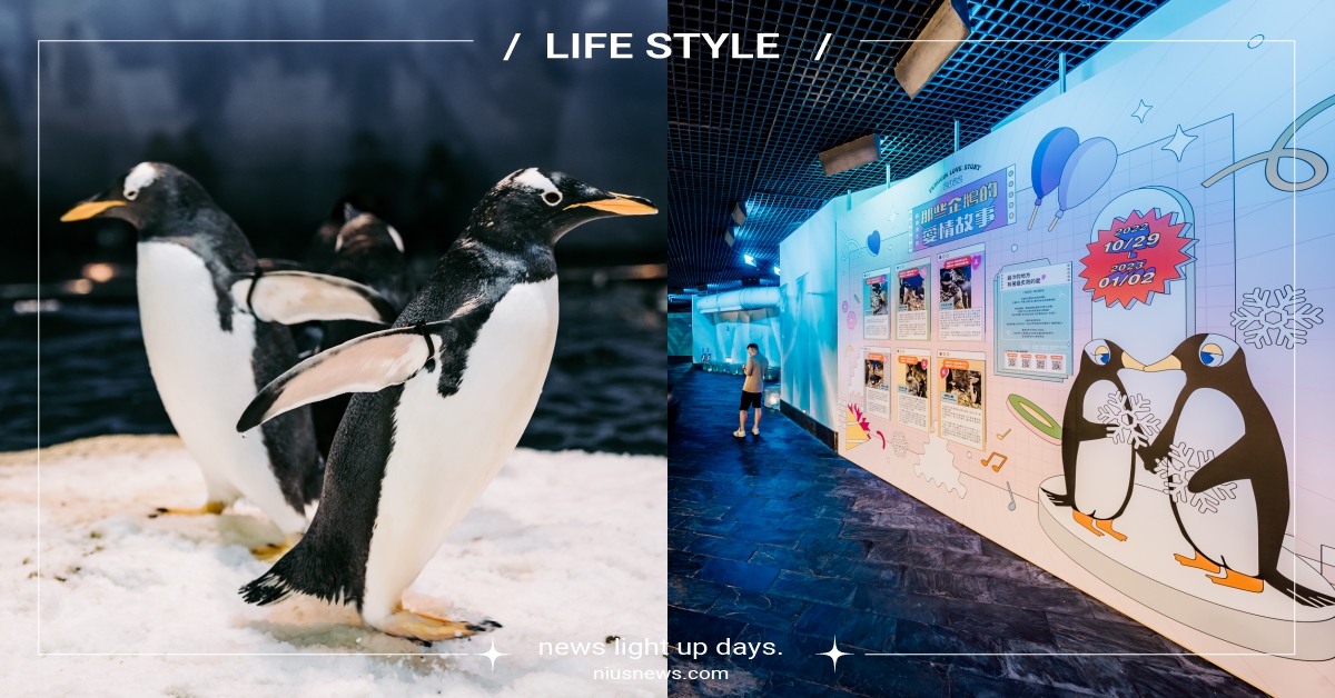 為單身鵝投票應援！屏東海生館展出「企鵝愛恨情仇」還能聽求愛聲，4大限定活動一次看 屏東海生館、那些企鵝的愛情故事、企鵝展、屏東國立海洋生物博物館、企鵝、單身應援、脫單、愛如潮水、可愛動物、萌寵、展覽、療癒、有趣