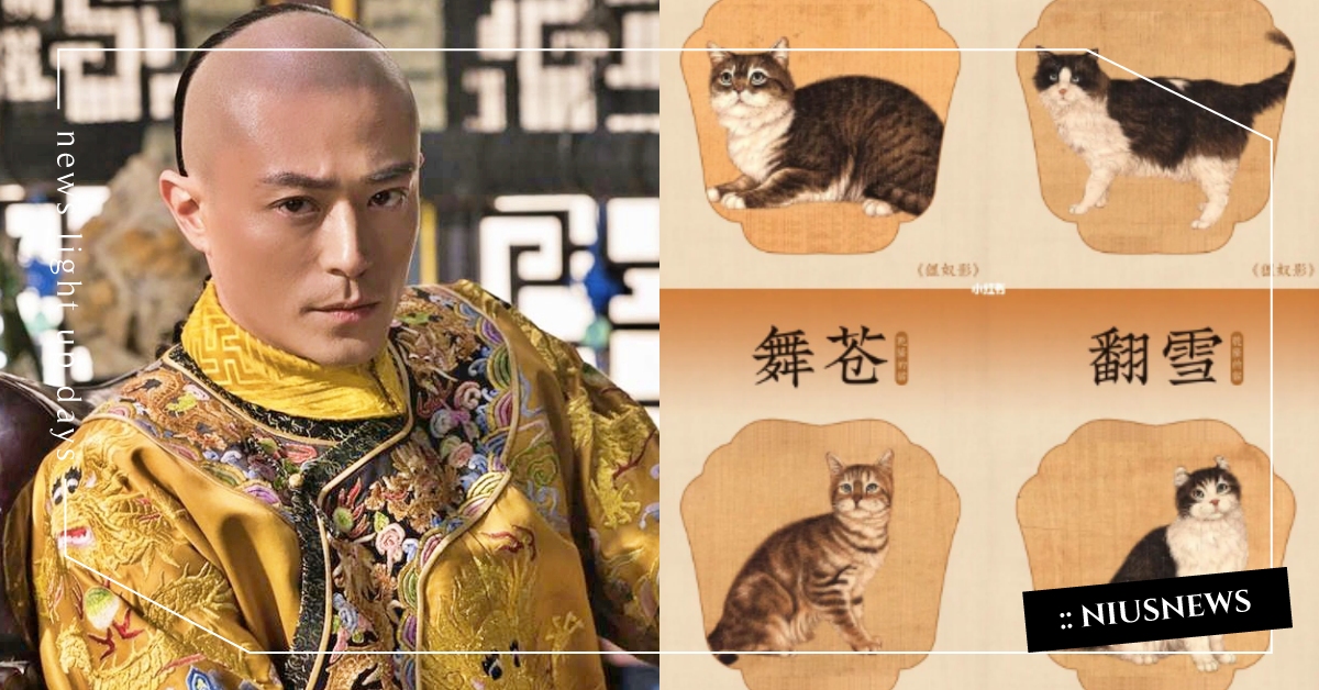 最會取名的鏟屎官！乾隆皇帝10隻愛貓「名字含義」曝光，網：還以為會叫大阿哥 乾隆皇帝、貓奴、鏟屎官、貓咪取名、名字含義、寵物新聞、寵物知識、清朝、古代