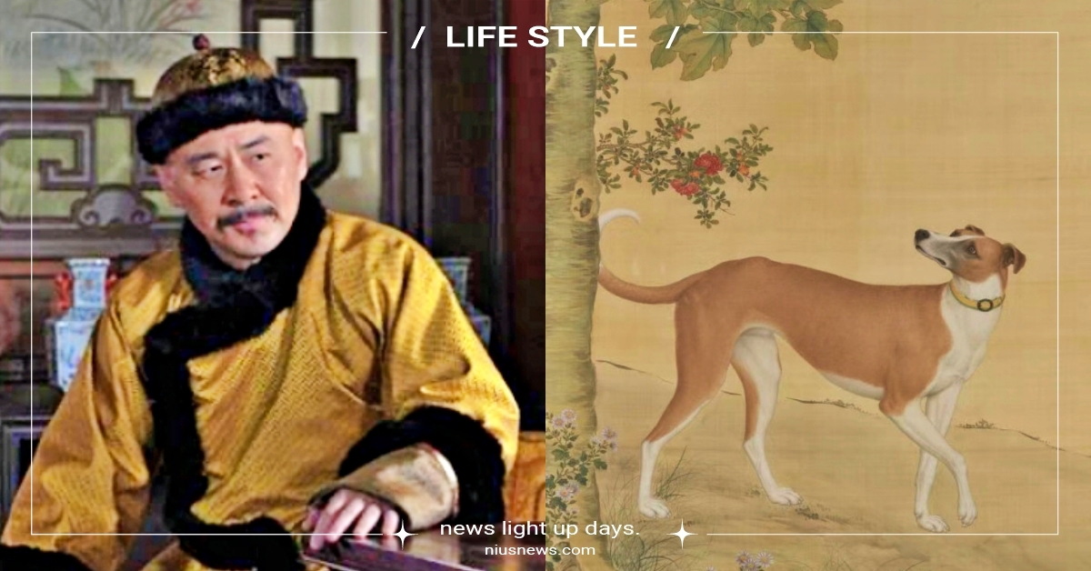 清朝皇帝愛犬名字曝光！雍正取「虎頭」超接地氣，乾隆替這種狗取名「蒼猊」！ 乾隆皇帝、雍正皇帝、狗、鏟屎官、愛犬、狗狗取名、名字含義、寵物新聞、寵物知識、清朝、古代