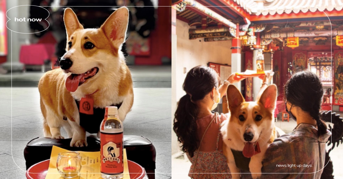 寵物也能點燈祈福？到宜蘭傳藝園區「毛孩點心燈」求保庇，還有萌萌祈福水、平安符！ 毛孩點心燈、寵物點燈、宜蘭傳藝園區、宜蘭國立傳統藝術中心、寵物出去玩、寵物教養、寵物新聞、祈福、平安符