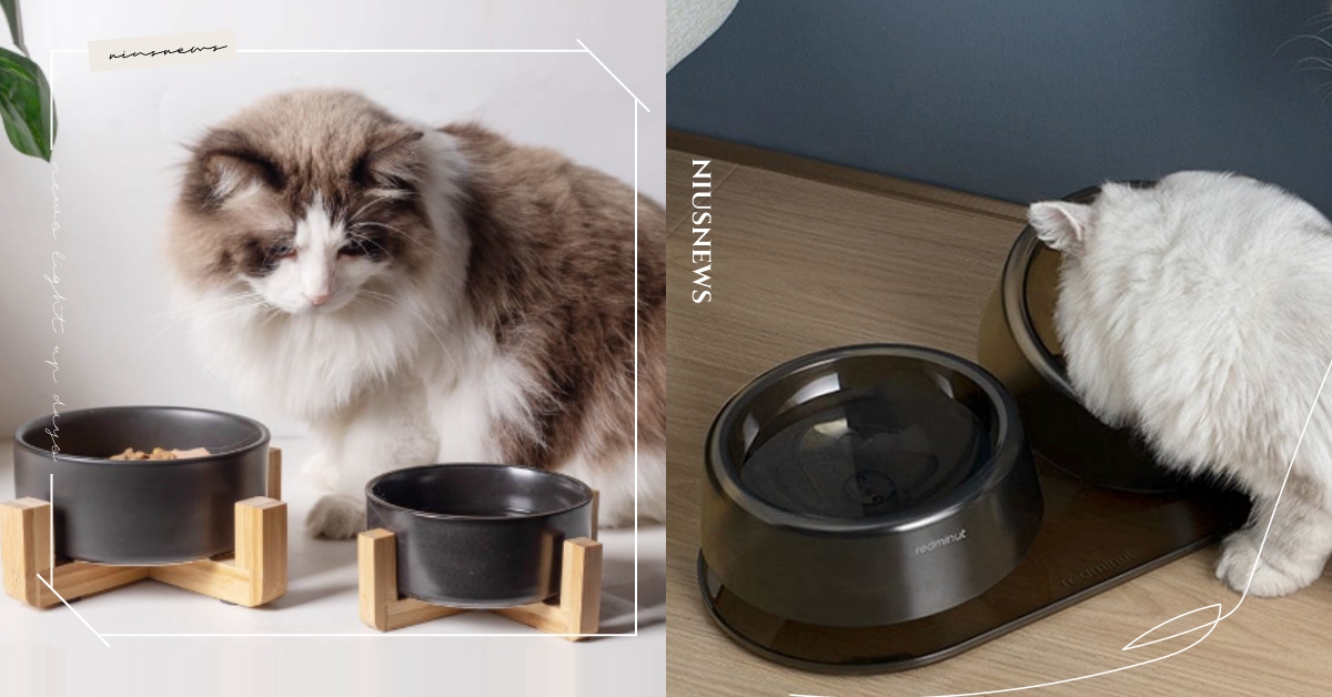 台灣貓奴熱議「黑碗更吸引貓咪喝水」？貓咪界最新爆紅的都市傳說，曝「這原因」是關鍵 黑碗理論、黑碗喝水、貓咪都市傳說、萌寵、可愛動物、網友熱議、寵物新聞、貓奴、鏟屎官