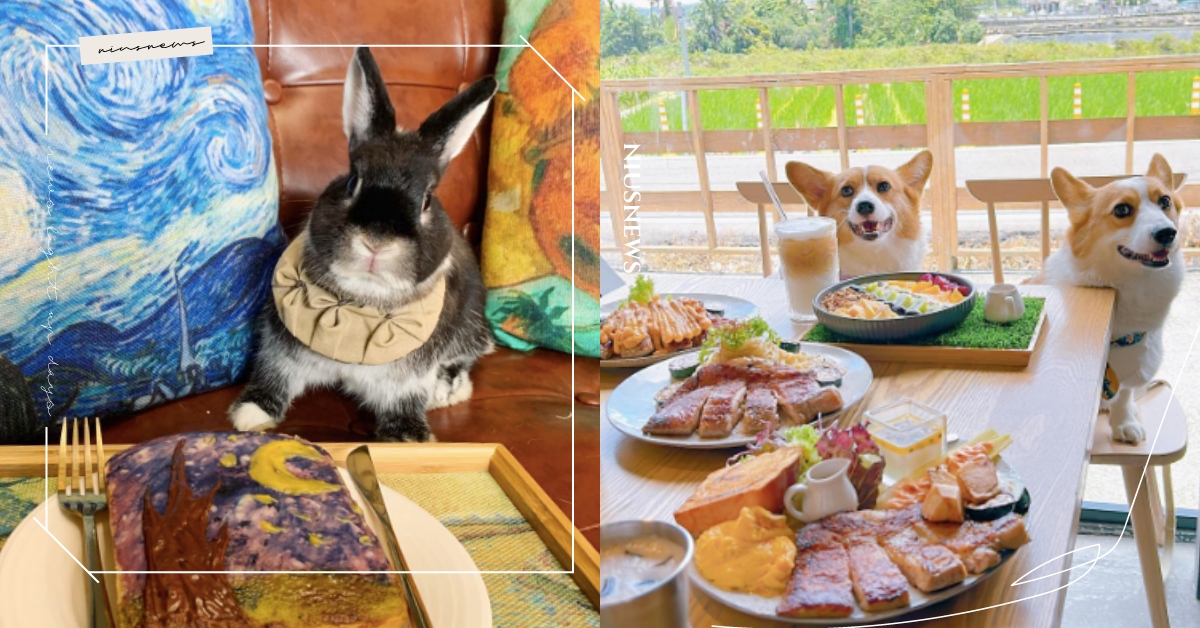 2023南投5間「寵物友善餐廳」推薦！日月潭湖怪日式茶點，還能手繪超美油畫吐司！ 2023南投餐廳、南投寵物友善餐廳、寵物友善、南投寵物友善、南投寵物友善咖啡廳、動物、美食、打卡、探店