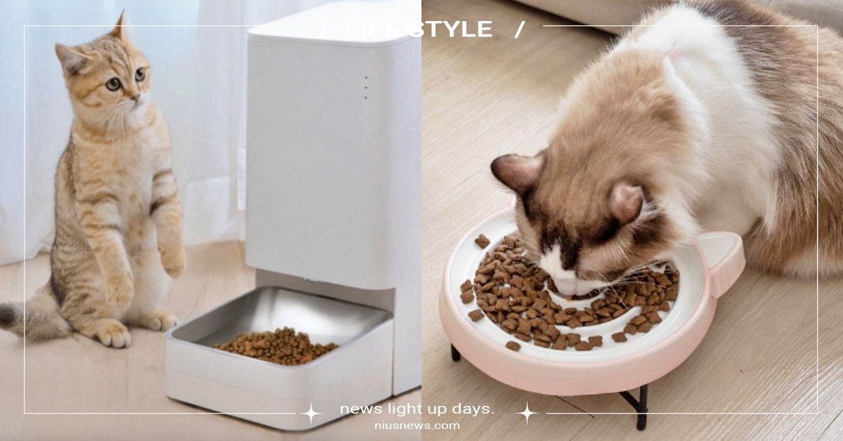 貓咪吃太快怎麼辦？5大「預防貓咪嘔吐的妙招」一次看，用這個方法快速評估毛孩狀況 貓咪吃太快、預防貓咪嘔吐、嘔吐物、寵物新聞、寵物知識、寵物衛教、寵物健康、木入森