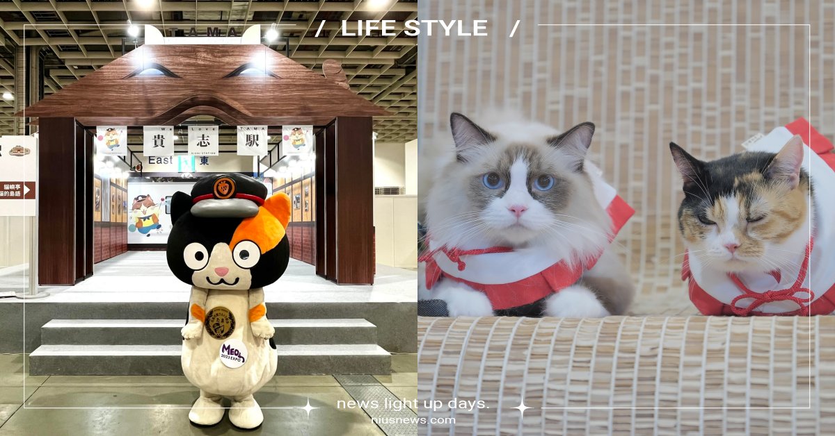 貓奴集合！2023「世界貓咪博覽會」6大必逛亮點，聯手日本貓咪站長打造吸貓天堂 展昭世界貓咪博覽會、2023世界貓咪博覽會、和歌山貴志車站、貓咪站長、小玉站長、台北南港展覽館、MosCATo麝香貓酒