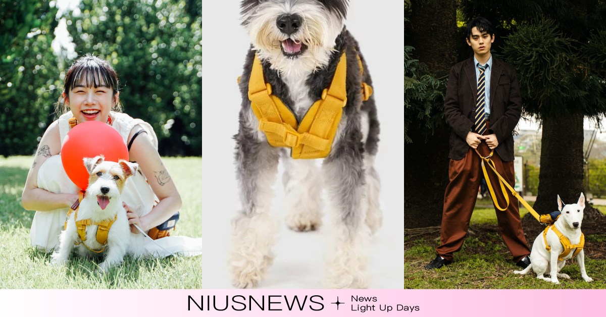 毛孩的時髦造型師「SPUTNIK」！透氣網布「胸背帶」舒適安心、質感牽繩也要擁有 SPUTNIK、寵物胸背帶、寵物牽繩、寵物用品推薦