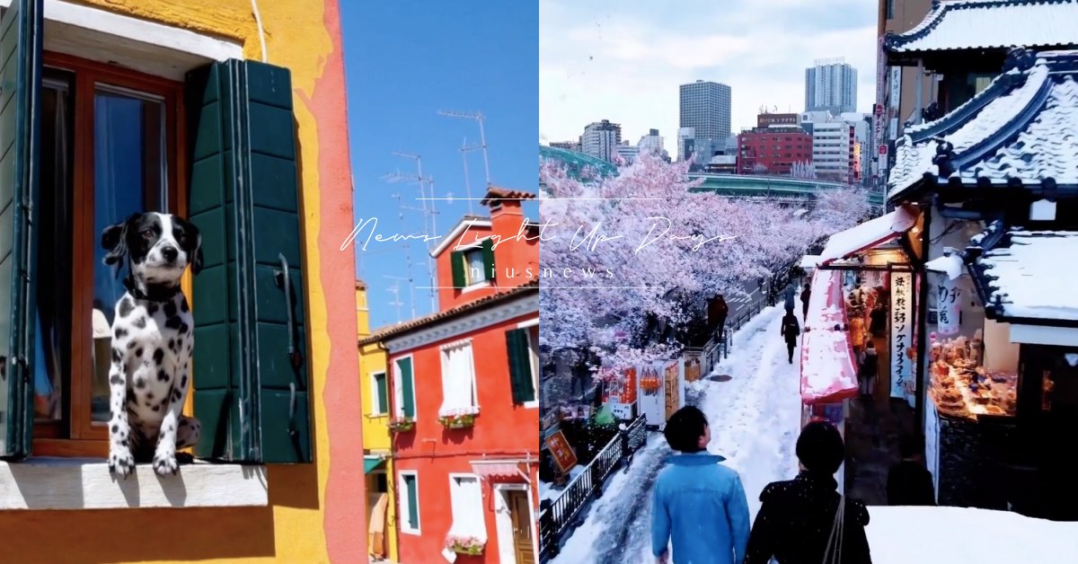 網熱議AI影片工具「Sora」是什麼？OpenAI文字生成影片，動物、風景超逼真 OpenAI、Sora、Sora介紹、AI影片、Sora是什麼、Sora影片、文字生成影片