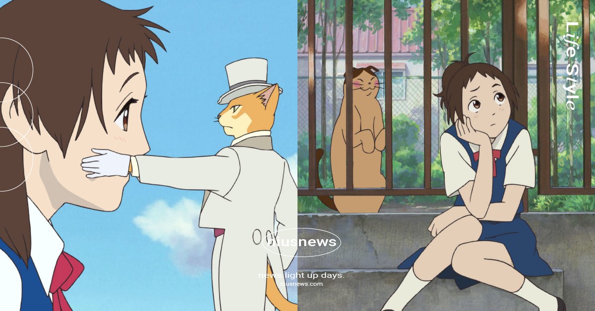 回顧《貓的報恩》8句經典「治癒系語錄」！小春：「男爵，我好像真的喜歡上你了耶」 吉卜力工作室、貓的報恩