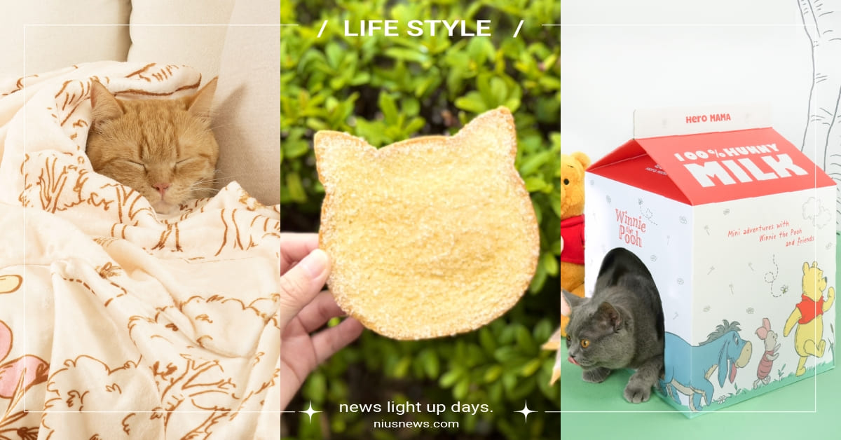 7-11祭「貓之日」優惠！小熊維尼貓抓屋萌翻，貓咪土司、貓尾巴生乳捲療癒必吃 7-11、毛孩、貓咪吐司、貓尾巴生乳捲、寵物用品