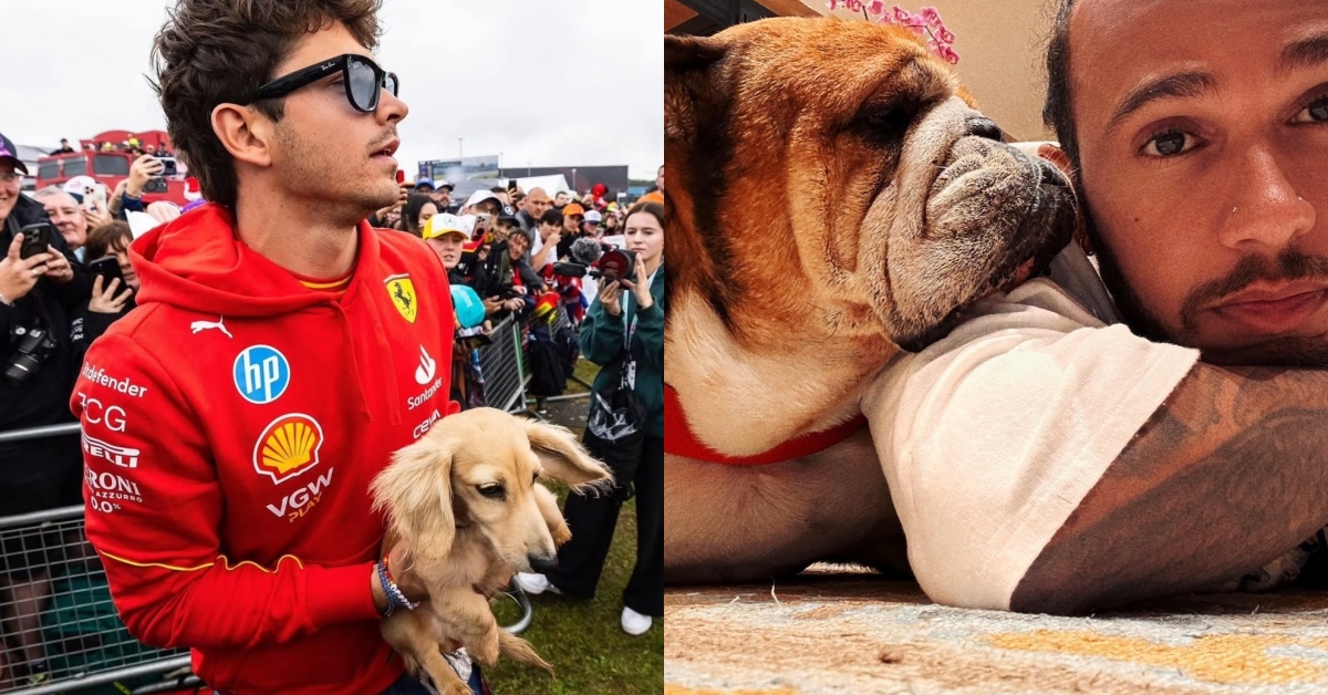 F1明星狗--法拉利最萌的隊員Roscoe和Leo！你愛主人還是愛他的狗？ F1、可愛、狗、寵物、LewisHamilton、CharlesLeclerc、賽車