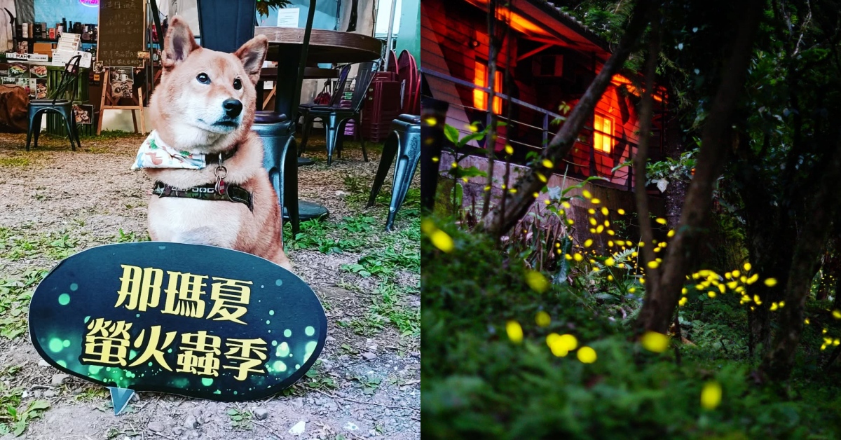 2025賞螢住宿推薦：6間寵物友善秘境住宿，和毛孩一起閃進春夏仙境！ 寵物友善、秘境、住宿、賞螢、螢火蟲、台北住宿、雙北住宿