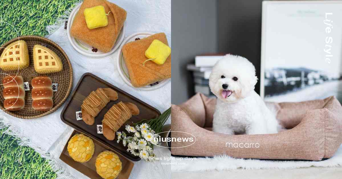 8/26國際狗狗日！6款質感寵物選品推薦，西多士藏食玩具、棉麻寵物乳膠床必收 國際狗狗日、寵物選品、質感寵物選品、pinkoi