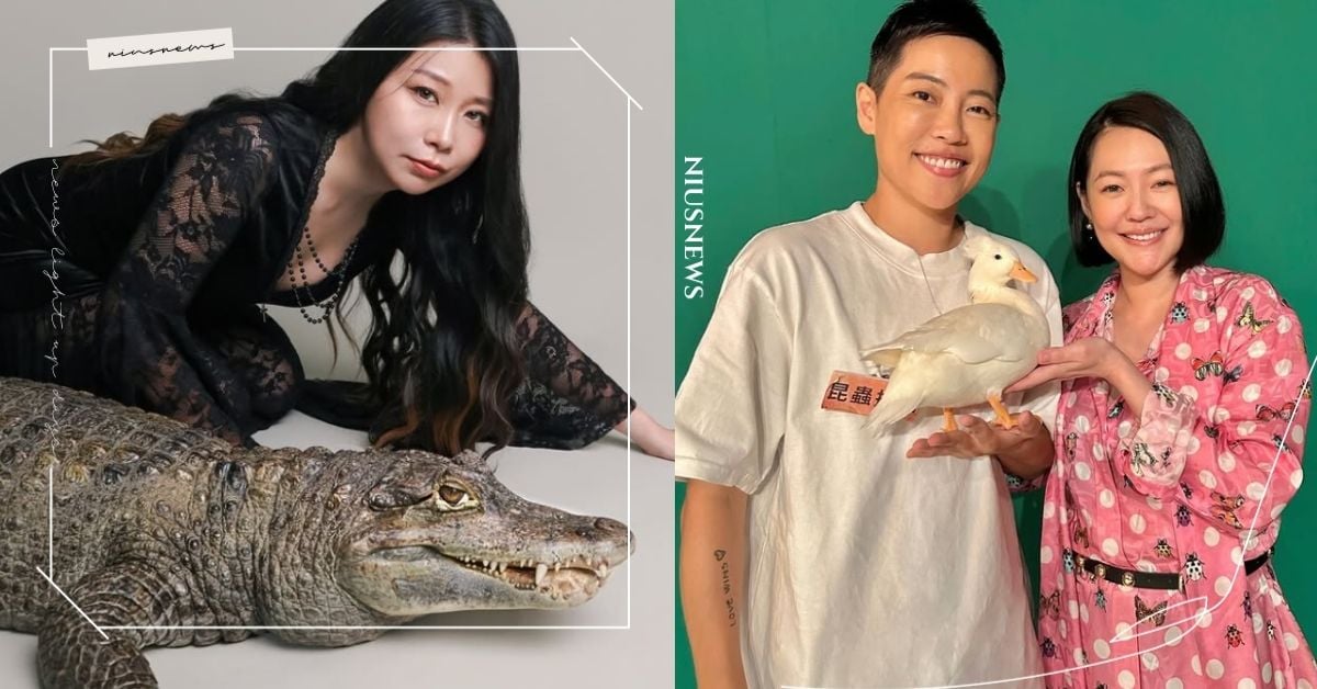 台灣10大超紅「寵物界KOL」盤點，鱷鄰居&沙西米、昆蟲擾西「愛寵」超稀有！ 台灣10大超紅寵物界KOL、黃阿瑪的後宮生活、柴犬七仙女、好味小姐 許伯＆簡芝-倉鼠人、鱷鄰居&沙西米