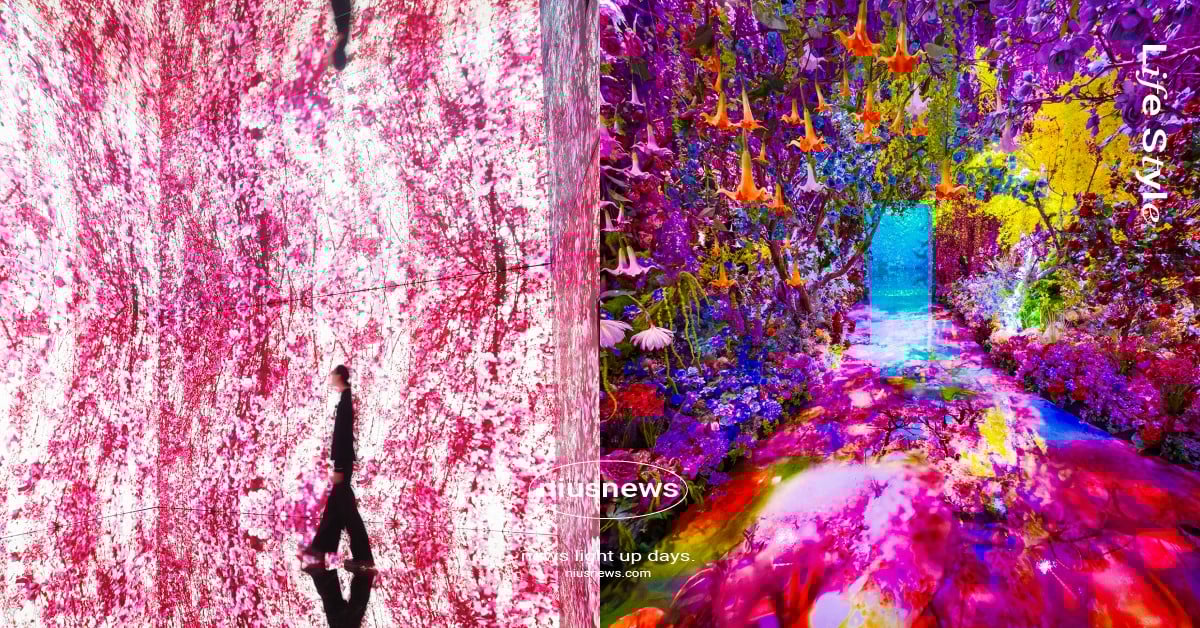 蜷川實花《彼岸之光，此岸之影》沉浸式光影展登台！台北首站獨家展示、720度全景花海必朝聖 蜷川實花、蜷川實花展覽、蜷川實花台北展覽、蜷川實花彼岸之光此岸之影、彼岸之光此岸之影