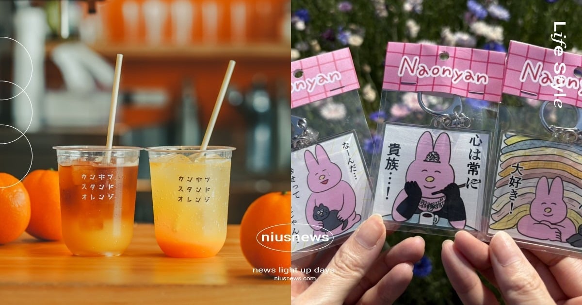 Pinkoi「品品節」限時3天免費入場！220＋台日韓泰文創品牌大集合，消費捐款助心輔犬 Pinkoi品品節、Pinkoi市集、Pinkoi夏日療癒花園、Pinkoi圓山花博、Pinkoi設計選物、寵物友善、Pinkoi免費市集